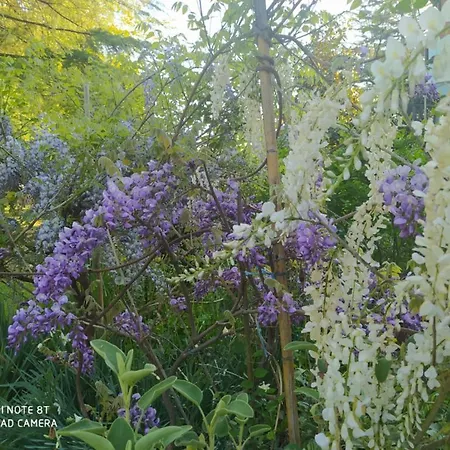 Appartamento L'ape Regina Pralormo