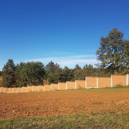 L'ape Regina Пралормо