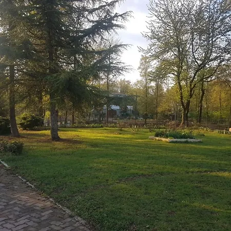 L'ape Regina Пралормо