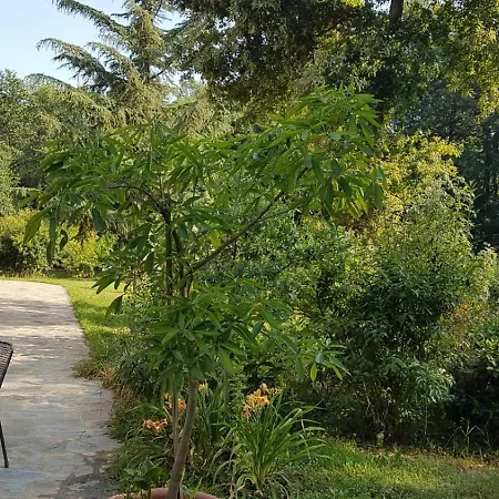 L'ape Regina Appartamento