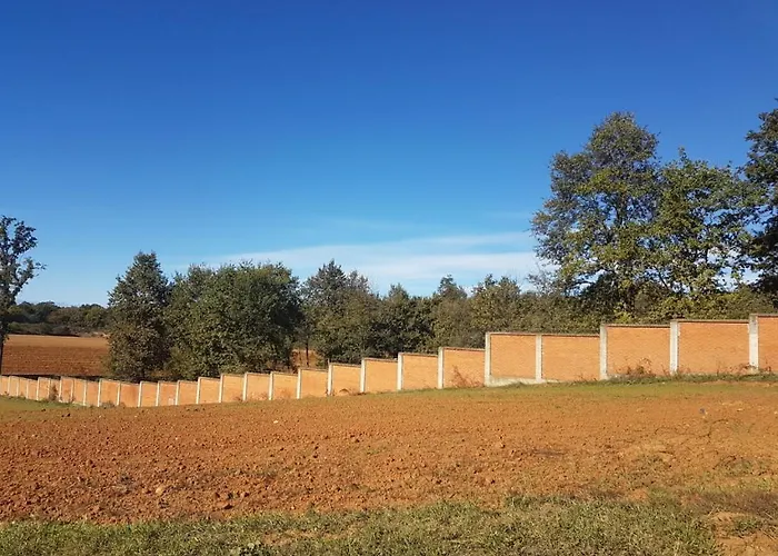 L'ape Regina Pralormo